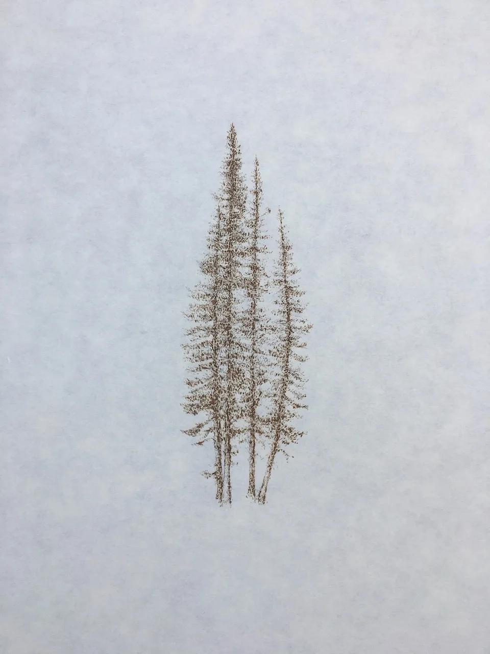 Hyalite Pines
