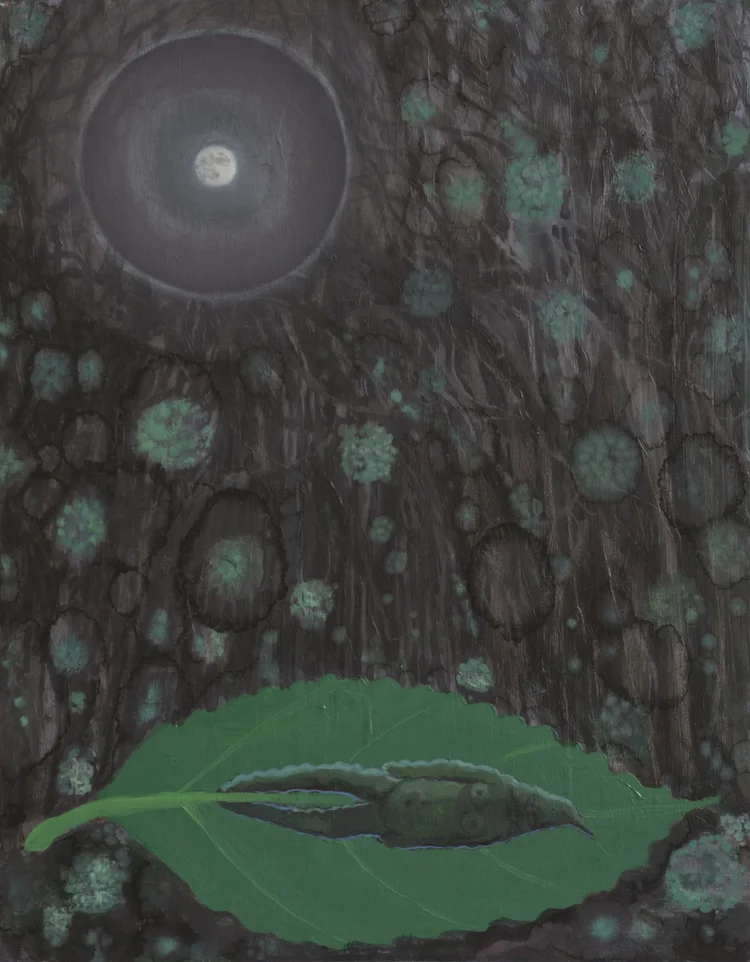 June Leaf Sleeps Among the Lichen