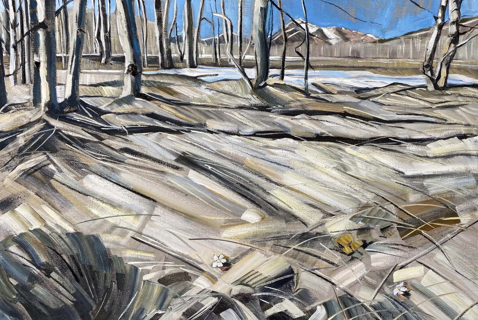 Thaw (Boulder Creek)