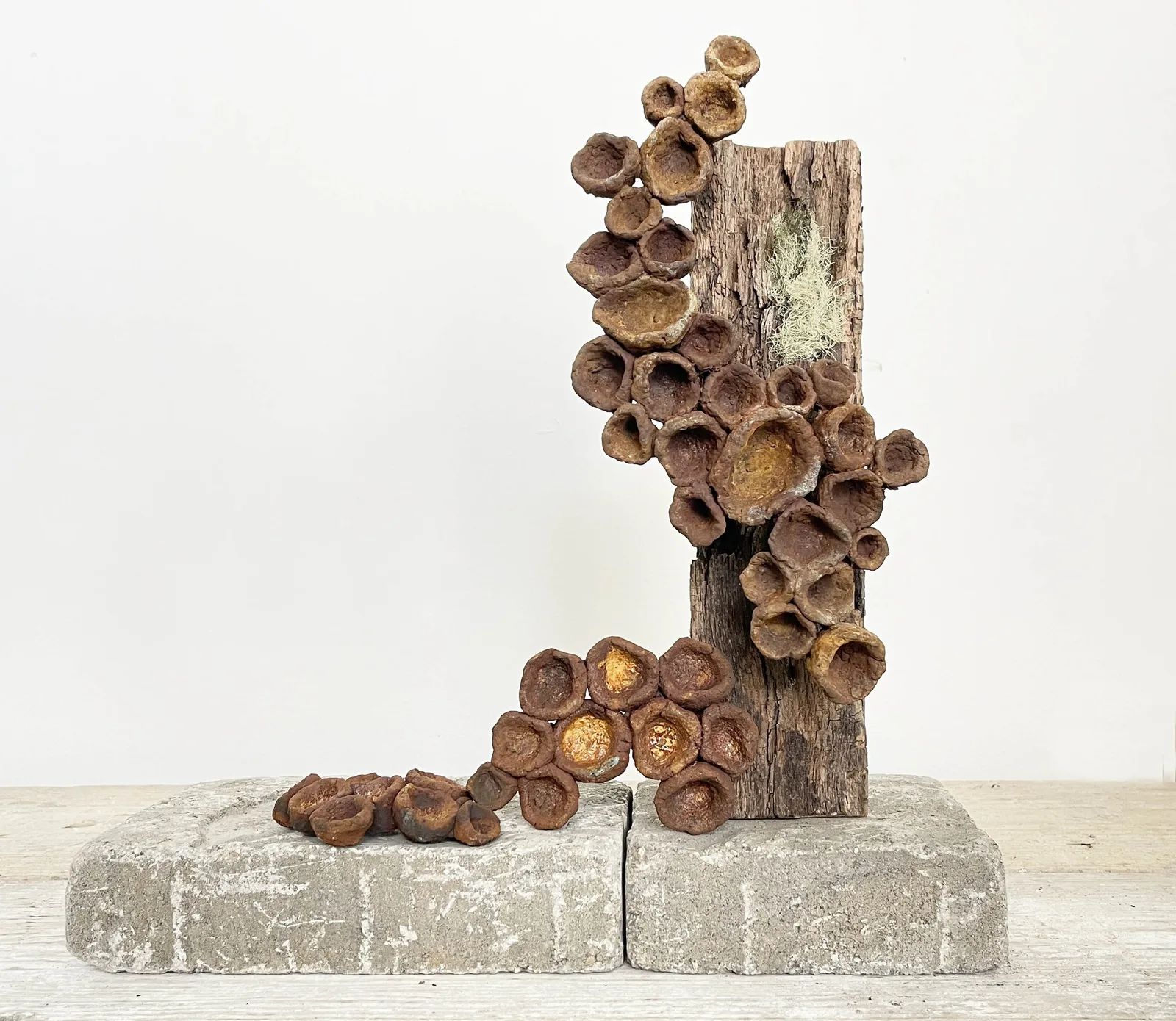 Lost World Totem No. 2