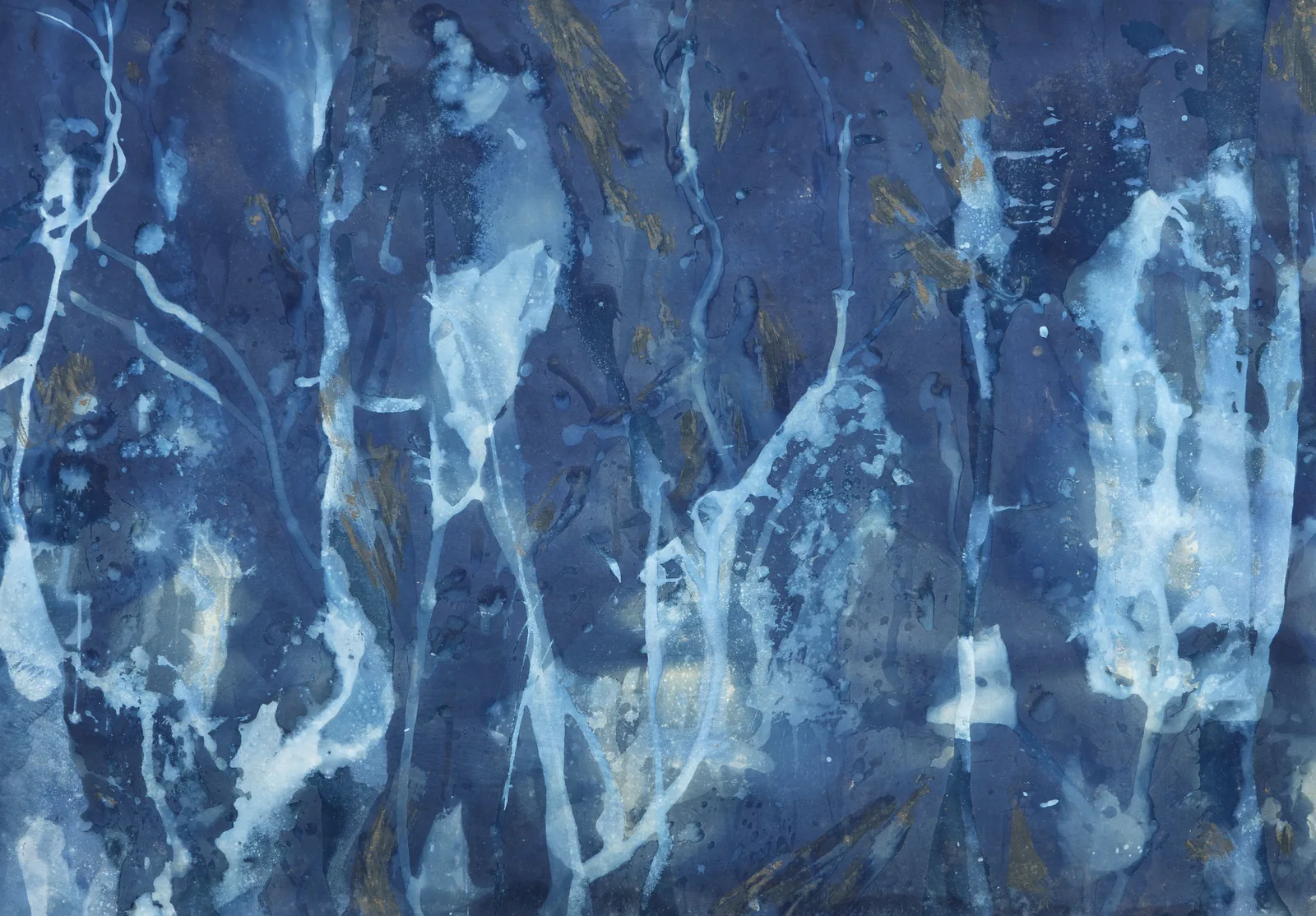 Downwaste (Sperry 2-XI), a cyanotype by Jonathan Marquis